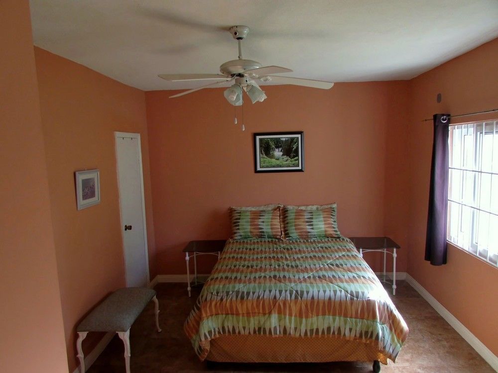 Centrally Located Guest Apartments 킹스톤 외부 사진